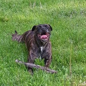 Meet your Posher, Allison